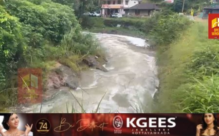 കൂട്ടാർ പുഴ അസാധാരണമായ രീതിയിൽ പതഞ്ഞ് ഒഴുകുന്നു. പുഴയുടെ വിവിധ ഭാഗങ്ങളിൽ വലിയ അളവിൽ പത ഒഴുകുകയും  കെട്ടിക്കിടക്കുകയും ചെയ്യുന്നുണ്ട്.