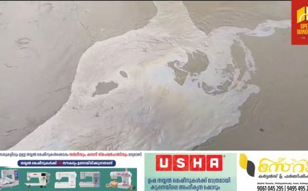 ഇടുക്കി മലങ്കര ഡാമിൽ രാസമാലിന്യം പടർന്നു; സംഭവത്തിൽ പൊലീസും പഞ്ചായത്തും അന്വേഷണം തുടങ്ങി