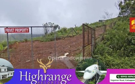 വാഗമൺ ഭൂമി കയ്യേറ്റം; പട്ടയങ്ങൾ റദ്ദാക്കാനുള്ള നടപടികൾ തുടങ്ങി