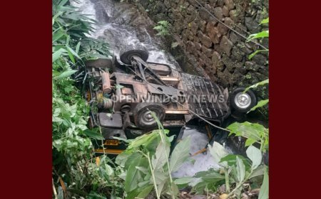 ഇടുക്കി ചേലച്ചുവട്ടില്‍ ഓട്ടോറിക്ഷ മറിഞ്ഞ് മൂന്നുപേര്‍ക്ക് പരിക്ക്