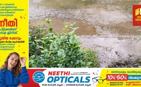 മലിനജലം തോട്ടിലേക്കൊഴുക്കിയ ലോണ്ടറിക്കെതിരെ പഞ്ചായത്തിന്റെ നിയമനടപടി