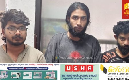 രാജകുമാരിയിൽ ഹൈബ്രിഡ് കഞ്ചാവുമായി മൂന്ന് യുവാക്കൾ പിടിയിൽ