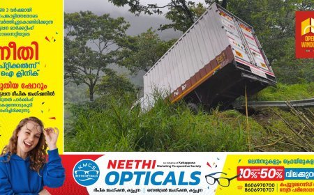 അടിമാലി പണിക്കന്‍കുടി നെടുംകണ്ടം റോഡില്‍ വാഹനാപകടം; മുനിയറയ്ക്കും തിങ്കള്‍ക്കാടിനുമിടയില്‍ നിയന്ത്രണം നഷ്ടപ്പെട്ട ലോറി റോഡില്‍ നിന്ന് തെന്നിമാറി;  അപകടത്തില്‍ ആര്‍ക്കും പരിക്കുകള്‍ ഇല്ല