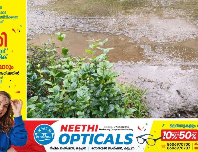 മലിനജലം തോട്ടിലേക്കൊഴുക്കിയ ലോണ്ടറിക്കെതിരെ പഞ്ചായത്തിന്റെ നിയമനടപടി