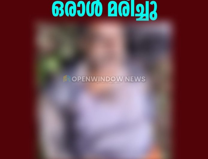 പൂപ്പാറ തലക്കുളത്ത് കാട്ടാന ആക്രമണത്തിൽ ഒരാൾ മരിച്ചു; മരിച്ചത് ബോഡിനായക്കന്നൂര്‍ സ്വദേശി ഒച്ചുത്തേവര്‍