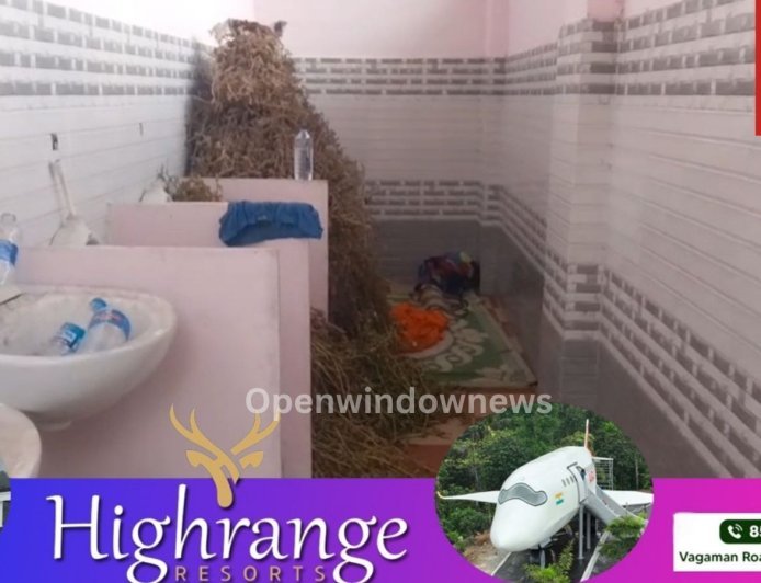 നിർമ്മാണം പാതിവഴി നിലച്ച കട്ടപ്പന നഗരസഭാ വക പുളിയന്മലയിലെ ടോയ്ലറ്റ് കോംപ്ലക്സിനുള്ളിൽ നിന്ന് ഏലത്തിന്റെ ശരങ്ങൾ കണ്ടെത്തി