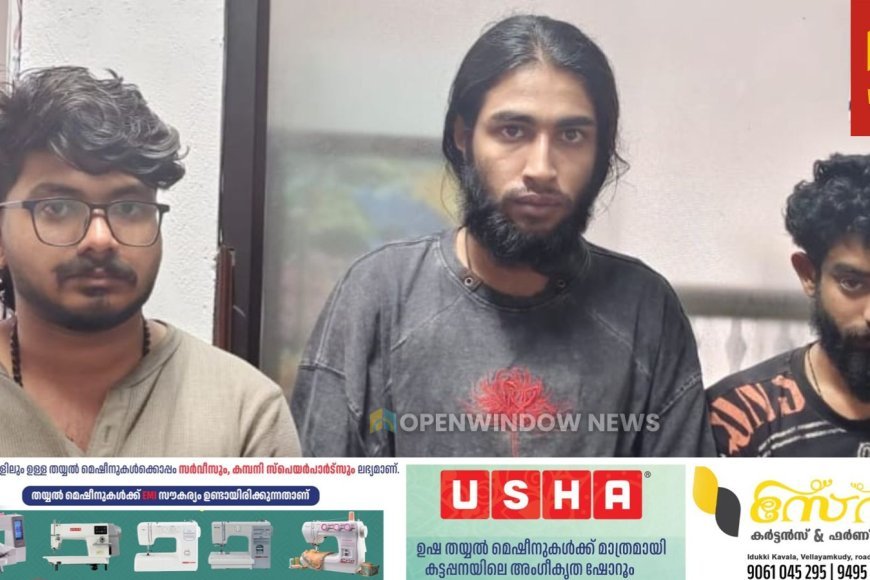 രാജകുമാരിയിൽ ഹൈബ്രിഡ് കഞ്ചാവുമായി മൂന്ന് യുവാക്കൾ പിടിയിൽ