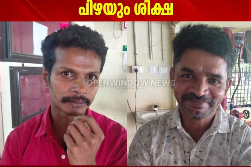 വെള്ളത്തൂവല്‍ സ്വദേശിനിയെ വീട്ടില്‍ അതിക്രമിച്ച് കയറി കൊലപ്പെടുത്താന്‍ ശ്രമിച്ച പ്രതികള്‍ക്ക് അഞ്ചുവര്‍ഷം തടവും 40,000 രൂപ പിഴയും ശിക്ഷ;  കൊന്നത്തടി  സ്വദേശി ഷെയിസ്,  അടിമാലി  സ്വദേശി ജയേഷ് എന്നിവരെയാണ് ശിക്ഷിച്ചത്