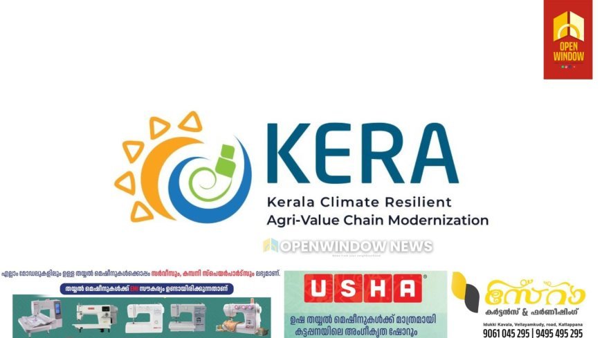റബ്ബർ മേഖലയ്ക്ക് പ്രതീക്ഷയായി ‘കേര പദ്ധതി’; ഹെക്ടറിന് 75,000 രൂപ പുനർനടീൽ സഹായം.കർഷകർക്ക് കൂടുതൽ നേട്ടം ഉറപ്പാക്കി സർക്കാർ; 30,000 ഹെക്ടറിൽ പുതുനടീൽ, 50,000ത്തോളം കർഷകർക്ക് നേരിട്ട് ആനുകൂല്യം