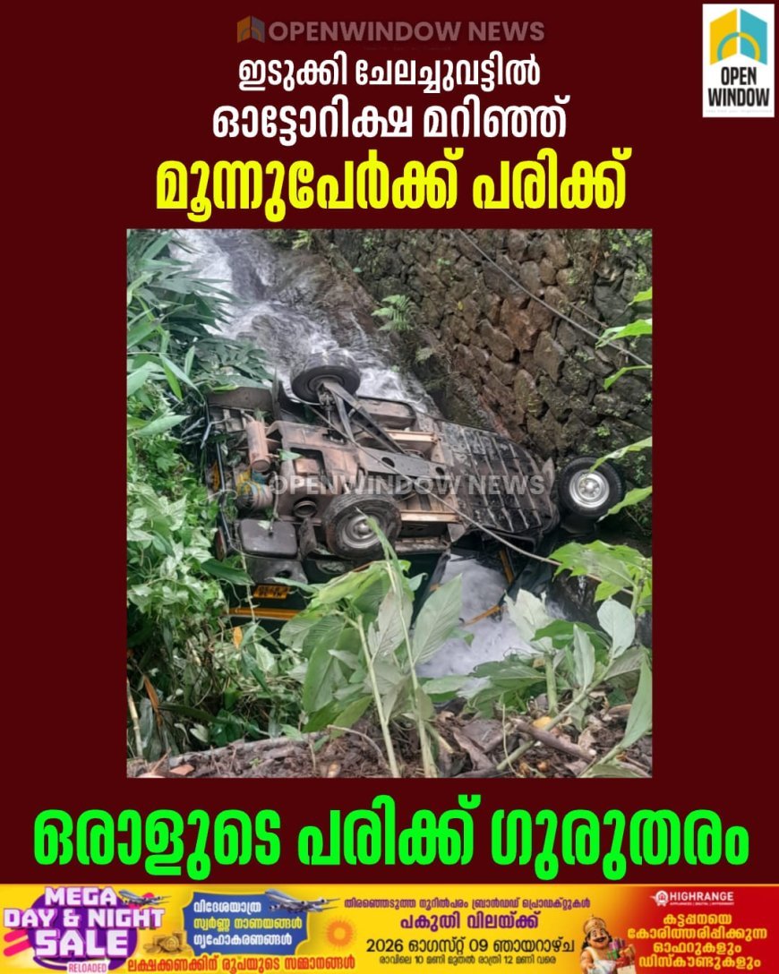 ഇടുക്കി ചേലച്ചുവട്ടില്‍ ഓട്ടോറിക്ഷ മറിഞ്ഞ് മൂന്നുപേര്‍ക്ക് പരിക്ക്