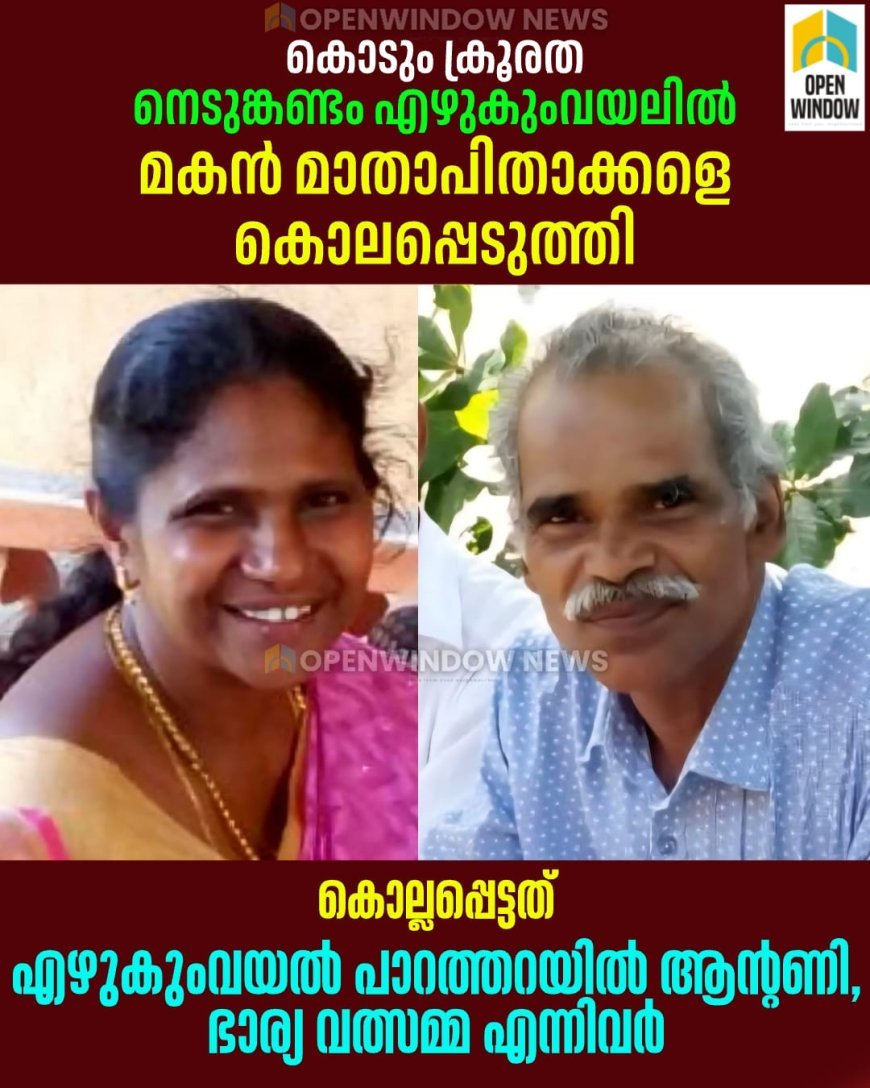 കൊടും ക്രൂരത; നെടുങ്കണ്ടം എഴുകുംവയലിൽ മകൻ മാതാപിതാക്കളെ കൊലപ്പെടുത്തി