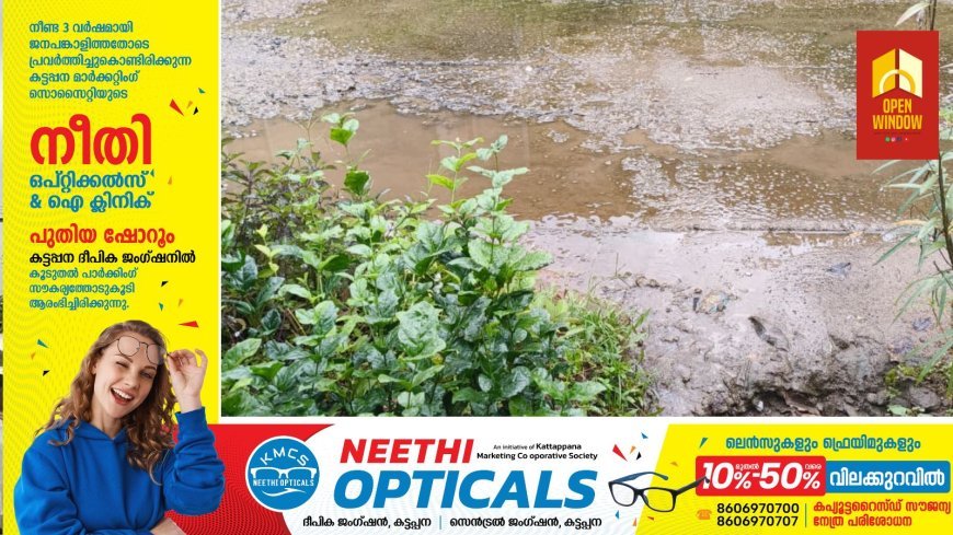 മലിനജലം തോട്ടിലേക്കൊഴുക്കിയ ലോണ്ടറിക്കെതിരെ പഞ്ചായത്തിന്റെ നിയമനടപടി