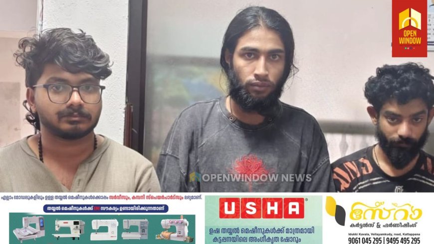 രാജകുമാരിയിൽ ഹൈബ്രിഡ് കഞ്ചാവുമായി മൂന്ന് യുവാക്കൾ പിടിയിൽ
