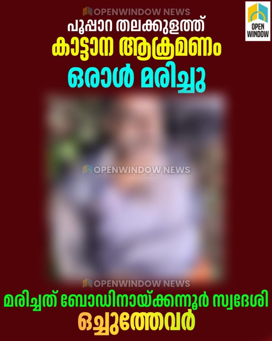 പൂപ്പാറ തലക്കുളത്ത് കാട്ടാന ആക്രമണത്തിൽ ഒരാൾ മരിച്ചു; മരിച്ചത് ബോഡിനായക്കന്നൂര്‍ സ്വദേശി ഒച്ചുത്തേവര്‍