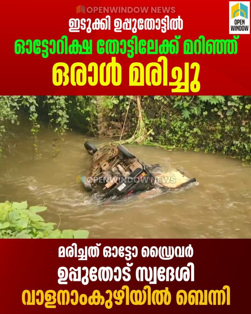 ഇടുക്കി ഉപ്പുതോട്ടില്‍ ഓട്ടോറിക്ഷ തോട്ടിലേക്ക് മറിഞ്ഞ് ഒരാള്‍ മരിച്ചു; മരിച്ചത് ഓട്ടോ ഡ്രൈവര്‍ ഉപ്പുതോട് സ്വദേശി വാളനാംകുഴിയില്‍ ബെന്നി