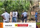 രാജാക്കാട് കുത്തുങ്കലില്‍ ഭീതി പടര്‍ത്തി കാട്ടുപോത്തിന്റെ സാന്നിധ്യം