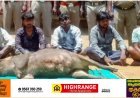 കേരളത്തിന്റെ അതീർത്തി ജില്ലയായ തമിഴ്നാട് തേനിയിൽ കാട്ടുപന്നിയെ വേട്ടയാടിയ 5 ബിഹാർ സ്വദേശികളായ തൊഴിലാളികൾക്ക് 2 ലക്ഷം രൂപ പിഴ ചുമത്തി തമിഴ്‌നാട്‌ വനംവകുപ്പിന്റെ നടപടി.