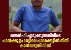 സെൽഫി എടുക്കുന്നതിനിടെ 
പാൽക്കുളം മേട്ടിലെ പാറക്കെട്ടിൽ നിന്ന് കാൽവഴുതി വീണ് 
യുവാവിന് ദാരുണാന്ത്യം; മരിച്ചത് കഞ്ഞിക്കുഴി ആൽപ്പാറ സ്വദേശി വെട്ടിയ്ക്കൽ ആൽബിൻ ദേവസ്യ