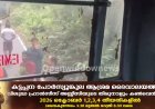 ഇടുക്കിയില്‍  കെഎസ്ആര്‍ടിസി ബസിനുള്ളില്‍ പെരും തേനീച്ചയുടെ ആക്രമണം; സംഭവം പത്തനംതിട്ട ഗവി കുമളി ബസില്‍; യാത്രക്കാര്‍ക്കും ബസ് ജീവനക്കാര്‍ക്കും പരിക്ക്