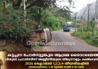 കട്ടപ്പന പാറക്കടവിന് സമീപം നിയന്ത്രണം വിട്ട കാർ മൺതിട്ടയിലിടിച്ച് അപകടത്തിൽപ്പെട്ടു. കുഞ്ചിത്തണ്ണി സ്വദേശികളായ മൂന്ന് യാത്രക്കാർ പരിക്കേൽക്കാതെ രക്ഷപ്പെട്ടു.