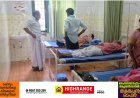 ഉപ്പുതറയിൽ പെരുന്തേനീച്ചയുടെ കുത്തേറ്റ് നിരവധി പേർക്ക് പരിക്ക്