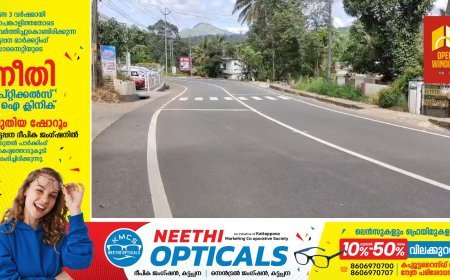 കട്ടപ്പന-കുട്ടിക്കാനം മലയോര ഹൈവേയിൽ വാഹനാപകടങ്ങൾ നിത്യസംഭവമാകുന്നു. കാഞ്ചിയാർ ലബ്ബക്കട മുതൽ കട്ടപ്പന വരെയുള്ള ഭാഗങ്ങളിലാണ് അപകടങ്ങൾ പെരുകുന്നത്.
