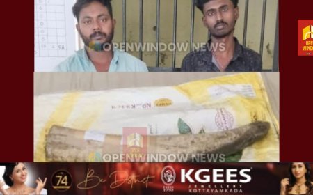 അടിമാലി ഇരുമ്പുപാലത്ത് 
ആനകൊമ്പ് വിൽക്കാൻ ശ്രമിക്കുന്നതിനിടെ 
രണ്ടുപേർ പിടിയിൽ;  
പിടിയിലായത് അടിമാലി മച്ചിപ്ലാവ് സ്വദേശികളായ ബ്രിജിത്ത്, സുനീഷ് എന്നിവർ