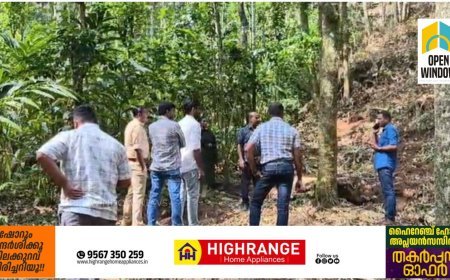 രാജാക്കാട് കുത്തുങ്കലില്‍ ഭീതി പടര്‍ത്തി കാട്ടുപോത്തിന്റെ സാന്നിധ്യം