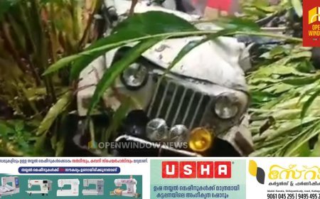 രാജകുമാരിയിൽതൊഴിലാളികളുമായി പോയ ജീപ്പ് നിയന്ത്രണം നഷ്ട്ടപ്പെട്ട്‌ താഴ്ചയിലേക്ക് മറിഞ്ഞു; ഒരാളുടെ നില ഗുരുതരം