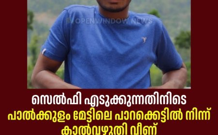 സെൽഫി എടുക്കുന്നതിനിടെ 
പാൽക്കുളം മേട്ടിലെ പാറക്കെട്ടിൽ നിന്ന് കാൽവഴുതി വീണ് 
യുവാവിന് ദാരുണാന്ത്യം; മരിച്ചത് കഞ്ഞിക്കുഴി ആൽപ്പാറ സ്വദേശി വെട്ടിയ്ക്കൽ ആൽബിൻ ദേവസ്യ