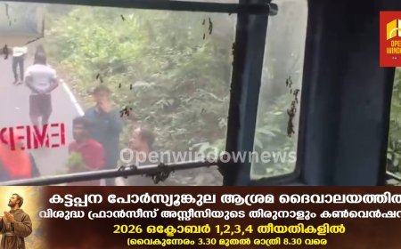 ഇടുക്കിയില്‍  കെഎസ്ആര്‍ടിസി ബസിനുള്ളില്‍ പെരും തേനീച്ചയുടെ ആക്രമണം; സംഭവം പത്തനംതിട്ട ഗവി കുമളി ബസില്‍; യാത്രക്കാര്‍ക്കും ബസ് ജീവനക്കാര്‍ക്കും പരിക്ക്