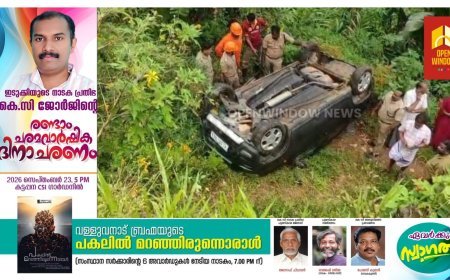 കട്ടപ്പന നിര്‍മ്മലാസിറ്റിക്ക് സമീപം കാര്‍ 20 അടി താഴ്ചയിലേക്ക് മറിഞ്ഞ് അപകടം