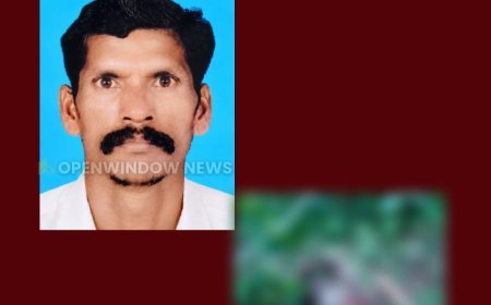ശാന്തൻപാറ പന്തടികളത്ത് കാട്ടാന ആക്രമണം; യുവാവ്‌ മരിച്ചു