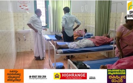 ഉപ്പുതറയിൽ പെരുന്തേനീച്ചയുടെ കുത്തേറ്റ് നിരവധി പേർക്ക് പരിക്ക്