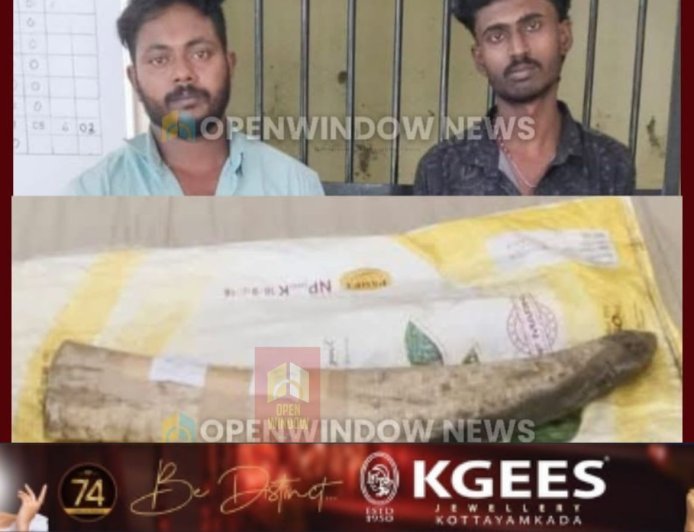 അടിമാലി ഇരുമ്പുപാലത്ത് 
ആനകൊമ്പ് വിൽക്കാൻ ശ്രമിക്കുന്നതിനിടെ 
രണ്ടുപേർ പിടിയിൽ;  
പിടിയിലായത് അടിമാലി മച്ചിപ്ലാവ് സ്വദേശികളായ ബ്രിജിത്ത്, സുനീഷ് എന്നിവർ