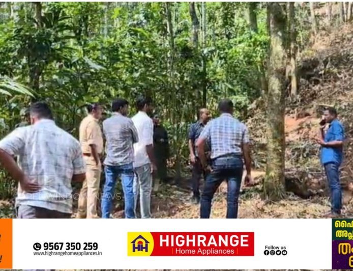 രാജാക്കാട് കുത്തുങ്കലില്‍ ഭീതി പടര്‍ത്തി കാട്ടുപോത്തിന്റെ സാന്നിധ്യം
