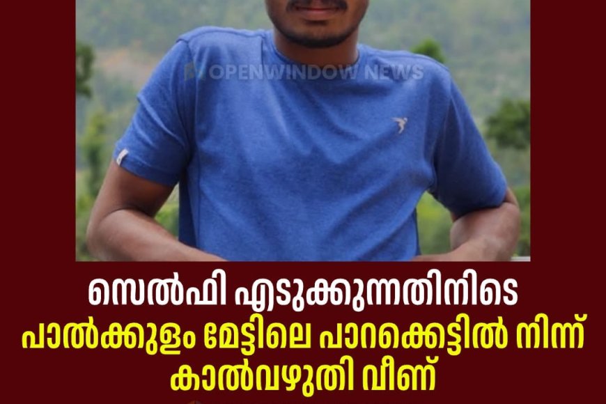 സെൽഫി എടുക്കുന്നതിനിടെ 
പാൽക്കുളം മേട്ടിലെ പാറക്കെട്ടിൽ നിന്ന് കാൽവഴുതി വീണ് 
യുവാവിന് ദാരുണാന്ത്യം; മരിച്ചത് കഞ്ഞിക്കുഴി ആൽപ്പാറ സ്വദേശി വെട്ടിയ്ക്കൽ ആൽബിൻ ദേവസ്യ