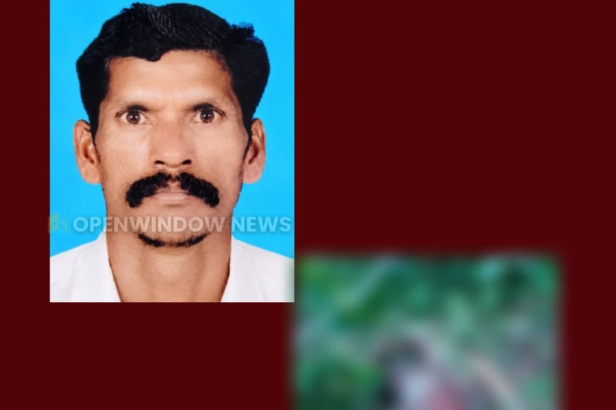 ശാന്തൻപാറ പന്തടികളത്ത് കാട്ടാന ആക്രമണം; യുവാവ്‌ മരിച്ചു