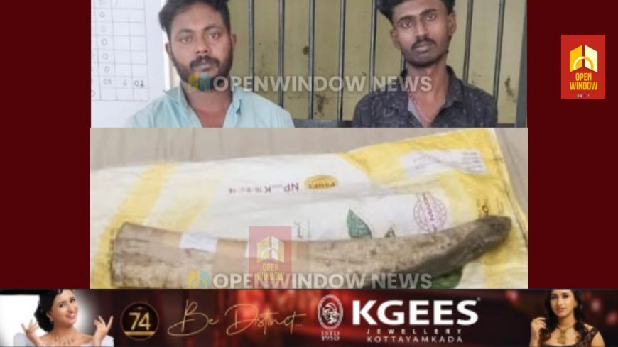 അടിമാലി ഇരുമ്പുപാലത്ത് 
ആനകൊമ്പ് വിൽക്കാൻ ശ്രമിക്കുന്നതിനിടെ 
രണ്ടുപേർ പിടിയിൽ;  
പിടിയിലായത് അടിമാലി മച്ചിപ്ലാവ് സ്വദേശികളായ ബ്രിജിത്ത്, സുനീഷ് എന്നിവർ