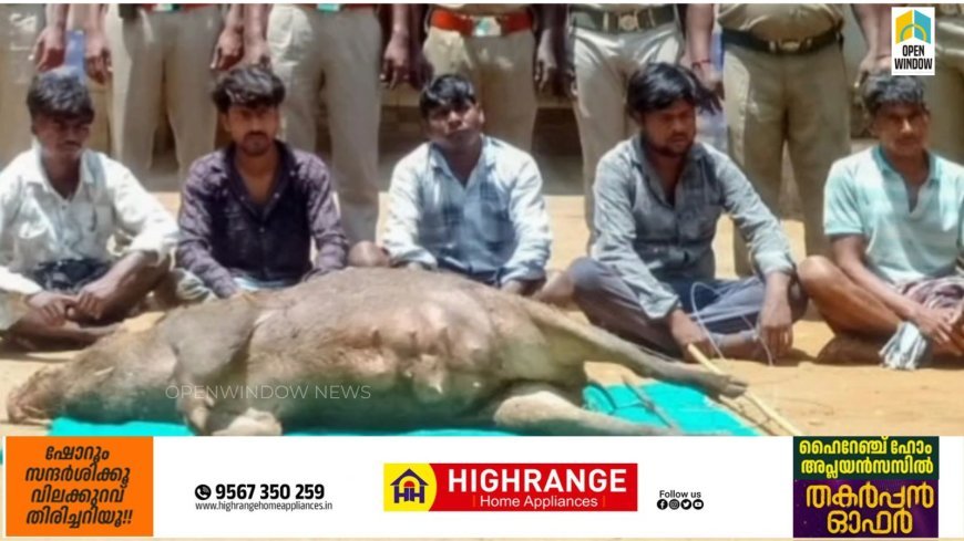 കേരളത്തിന്റെ അതീർത്തി ജില്ലയായ തമിഴ്നാട് തേനിയിൽ കാട്ടുപന്നിയെ വേട്ടയാടിയ 5 ബിഹാർ സ്വദേശികളായ തൊഴിലാളികൾക്ക് 2 ലക്ഷം രൂപ പിഴ ചുമത്തി തമിഴ്‌നാട്‌ വനംവകുപ്പിന്റെ നടപടി.