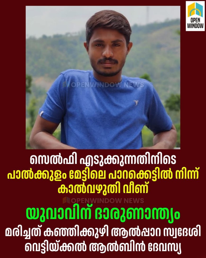സെൽഫി എടുക്കുന്നതിനിടെ 
പാൽക്കുളം മേട്ടിലെ പാറക്കെട്ടിൽ നിന്ന് കാൽവഴുതി വീണ് 
യുവാവിന് ദാരുണാന്ത്യം; മരിച്ചത് കഞ്ഞിക്കുഴി ആൽപ്പാറ സ്വദേശി വെട്ടിയ്ക്കൽ ആൽബിൻ ദേവസ്യ