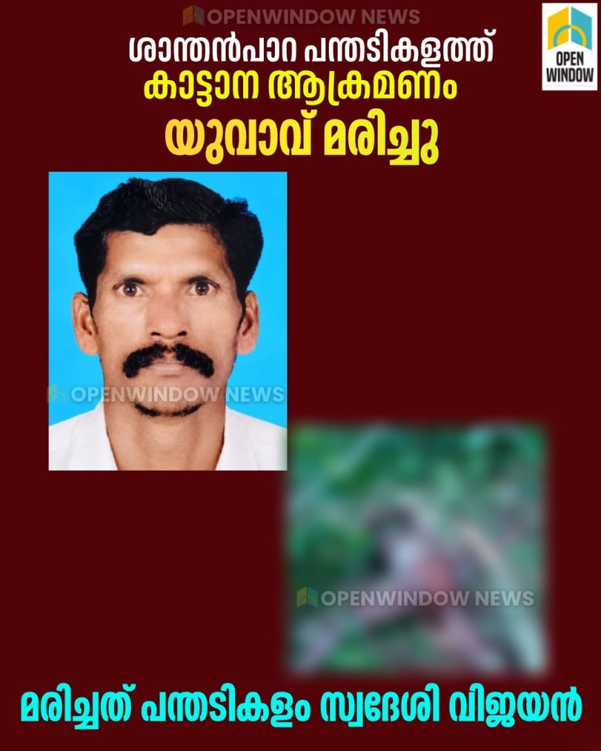 ശാന്തൻപാറ പന്തടികളത്ത് കാട്ടാന ആക്രമണം; യുവാവ്‌ മരിച്ചു