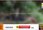 കഴിഞ്ഞ  ദിവസം ഇടുക്കി  പാംപ്ലയില്‍  കത്തിക്കരിഞ്ഞ നിലയില്‍  കണ്ടെത്തിയ മൃതദേഹം തമിഴ്‌നാട് ബോഡിനായ്ക്കന്നൂര്‍ സ്വദേശിയുടേത്;  കൊല്ലപ്പെട്ടത്  ബോഡിനായ്ക്കന്നൂര്‍ സ്വദേശി നിത്യ