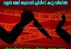 ഇടുക്കി പീരുമേട്ടില്‍ ഇരട്ടകൊലപാതകം;  ഭാര്യയെയും ഭാര്യാമാതാവിനെയും വെട്ടി കൊലപ്പെടുത്തി;  ഗ്ലെന്‍ മേരി സ്വദേശി പ്രിന്‍സ് കസ്റ്റഡിയില്‍