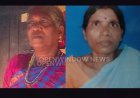 ഇടുക്കി മാങ്കുളത്ത് ഏലത്തോട്ടത്തില്‍ മരം വീണ് രണ്ട് ആദിവാസി സ്ത്രീകള്‍ മരിച്ചു