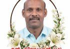 കട്ടപ്പന അമ്പലക്കവല നെടുമങ്ങാട്ട് എന്‍ വിദ്യാധരന്‍(62)(ജന്മഭൂമി മുന്‍ കട്ടപ്പന ലേഖകന്‍) അന്തരിച്ചു.