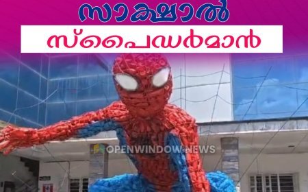 കട്ടപ്പന നഗരസഭാ കോമ്പൗണ്ടില്‍ എത്തുന്നവര്‍ക്ക്  കൗതുകമുണര്‍ത്തി മാര്‍വല്‍ കോമിക്‌സിലെ സൂപ്പര്‍ ഹീറോയായ സാക്ഷാല്‍ സ്പൈഡര്‍മാന്‍