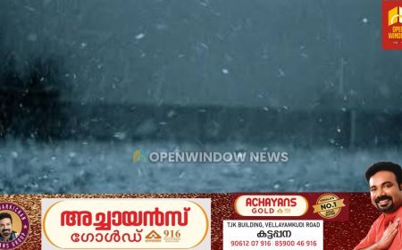 കേരളത്തിൽ ഇന്നും വ്യാപക മഴക്ക് സാധ്യത, ഇടുക്കി ഉൾപ്പെടെ 10 ജില്ലകളിൽ യെല്ലോ അലർട്ട്