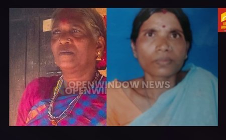 ഇടുക്കി മാങ്കുളത്ത് ഏലത്തോട്ടത്തില്‍ മരം വീണ് രണ്ട് ആദിവാസി സ്ത്രീകള്‍ മരിച്ചു
