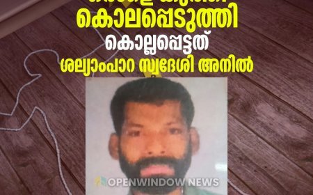 ഇടുക്കി വെള്ളത്തൂവലില്‍  സഹോദരങ്ങള്‍ തമ്മില്‍ വാക്ക് തര്‍ക്കം; ജ്യേഷ്ഠന്‍  അനുജനെ കൊലപ്പെടുത്തി